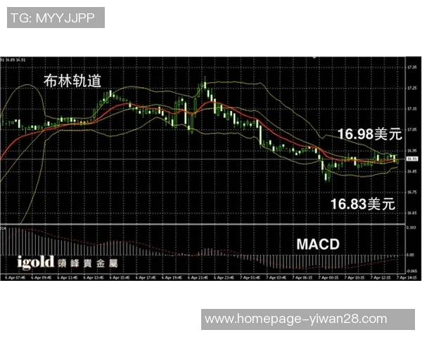 日本对阵波兰亚盘分析及投注策略探讨